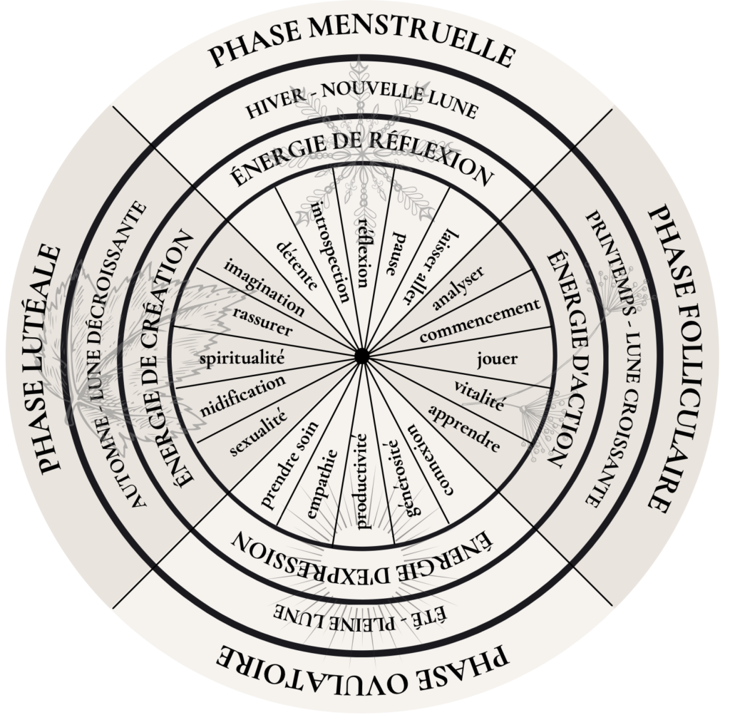Roue du cycle féminin, fonctionnement des différentes phases